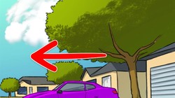 Hiệu ứng chuyến về