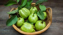 Những quả ổi tươi ngon mang đến nhiều lợi ích cho sức khỏe. Ảnh: Boldsky