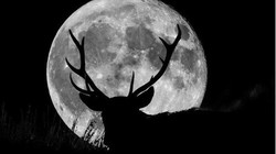 Đón xem những hiện tượng thiên văn kỳ thú trong tháng 7. Ảnh: Internet