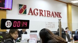 Chương trình tín dụng 3.000 tỉ đồng được Agribank triển khai đối với lĩnh vực lâm, thủy sản 