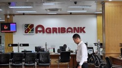 Agribank tài trợ tín dụng gần 600 tỷ đồng cho cụm dự án Thủy điện Tả Páo Hồ của Tập đoàn Kosy 