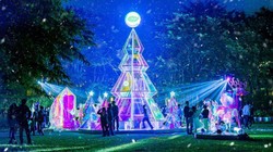 Giáng sinh rực rỡ sắc màu tại “khu rừng pha lê” tuyết trắng Ecopark