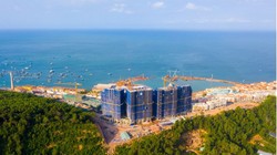 Lợi nhuận phục hồi nhưng Coteccons và Xây dựng Hòa Bình vẫn “đau đầu”