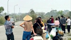 Nhiều nhà đầu tư đổ về một khu đô thị bỏ hoang ở TP Việt Trì (tỉnh Phú Thọ) để hỏi mua đất nền.