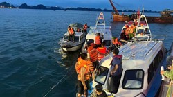 Công tác tìm kiếm cứu hộ cứu nạn trên Vịnh Hạ Long vẫn đang được triển khai. Ảnh: Cổng thông tin điện tử Quảng Ninh.