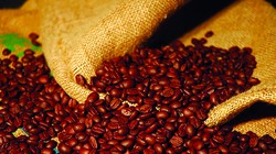 Do doanh nghiệp nước ngoài mua xuất khẩu nên cà phê VN bị ép giá