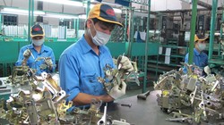 66% DN Nhật muốn mở rộng kinh doanh ở Việt Nam