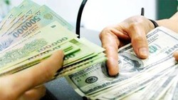 Xu hướng tỷ giá USD/VND: Người cần bán đã bán rồi