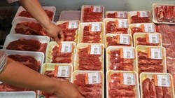 Hàn Quốc tạm ngừng nhập khẩu thịt bò Canada vì bệnh bò điên