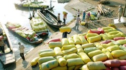 Tạm trữ có cứu được giá gạo?