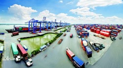 Đằng sau việc các đại gia nhảy vào cảng biển