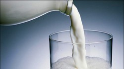 Nhập nhèm sữa bột, sữa tươi 