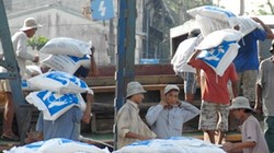 Trung Quốc ồ ạt mua gạo Việt Nam