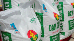 Doanh nghiệp Nhật muốn mua cổ phần của Đạm Cà Mau 