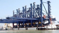 Lượng hàng container qua Cảng Cái Lân liên tục sụt giảm trong những năm gần đây