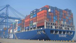 Thanh tra việc thu phụ phí của hãng tàu nước ngoài