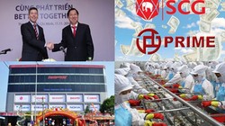 Đại gia Việt bán lúa non, ông lớn ngoại gom hết