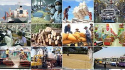 Xuất khẩu ngấm đòn tỷ giá