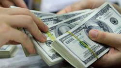 "Thị trường tỷ giá có khoảng trống để đầu cơ"