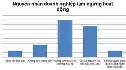 Nguyên nhân dẫn đến việc tạm ngừng hoạt động của doanh nghiệp (kết quả khảo sát VBIS-VCCI)