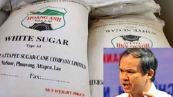 Việc HAGL đưa đường về Việt Nam thường xuyên gặp phải phản ứng từ các doanh nghiệp mía đường trong nước