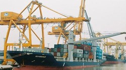 Lũy kế 4 tháng đầu năm nay, kim ngạch nhập khẩu ước đạt 53,1 tỷ USD, tăng 19,9% so với cùng kỳ năm trước.