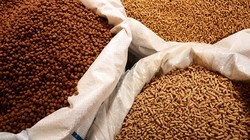 Masan Group bất ngờ “quay lại” sở hữu Proconco