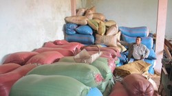 Cà phê Việt lỡ đường sang Mỹ do nông dân găm hàng chờ giá 