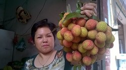 Vải thiều đầu mùa “hét” giá 90.000 đồng/kg