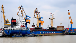 Đội tàu Vinalines đang chủ yếu cho thuê định hạn, thị phần vận chuyển hàng nội địa và hàng xuất nhập khẩu chiếm tỷ lệ rất thấp