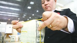 Nhập siêu đang là sức ép lớn nhất lên tỷ giá