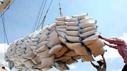 VFA điều chỉnh giá sàn gạo xuất khẩu