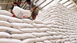 Thị trường xuất khẩu gạo của Việt Nam ngày càng cạnh tranh khi có thêm đối thủ mới.