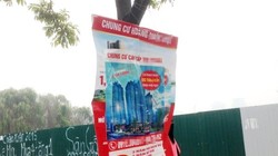 Quảng cáo bán nhà tràn lan không có cơ quan quản lý