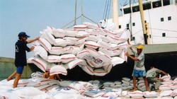 Xuất khẩu gạo bất cập từ cách “quản”
