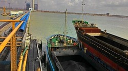 EVN đã phải đầu tư một cảng biển lớn để nhập than cho cụm Nhà máy nhiệt điện Duyên Hải - Ảnh: Mạnh Quân
