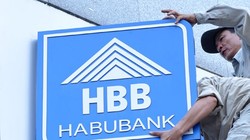 Sau khi tiếp quản Habubank, SHB đã phải "ngày đêm đau khổ" giải quyết nợ xấu. 