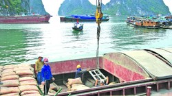 Việc chậm chễ được bốc, trả hàng cũng là nguyên nhân gây đội giá cước vận tải thủy. 