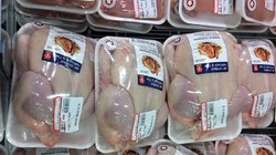 Đùi gà nhập khẩu của Mỹ hiện có giá quá rẻ khiến chăn nuôi trong nước không thể cạnh tranh được 