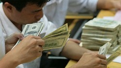 Trong trường hợp cần thiết NHNN có thể bán ngoại tệ để can thiệp ổn định thị trường ngoại hối