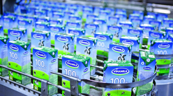 SCIC sẽ mất bao lâu để từ bỏ “gà đẻ trứng vàng” Vinamilk?