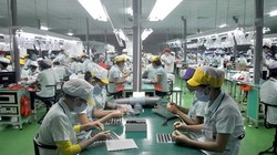 Cả nước nhập siêu 500 triệu USD trong tháng 7