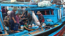 Có 14 doanh nghiệp được phép thí điểm đưa lao động là thuyền viên sang Đài Loan làm việc