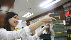 NHNN  cho biết đã chuẩn bị đầy đủ các giải pháp và sẵn sàng bán ngoại tệ can thiệp để ổn  thị trường