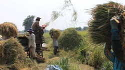 Chuyên gia cho rằng Việt Nam không nên chỉ dựa vào chính sách tỷ giá để duy trì sức cạnh tranh trên thị trường xuất khẩu.