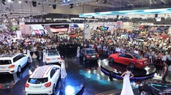 Các cục thuế địa phương thực hiện rà soát các DN nhập khẩu ô tô để chống thất thu thuế.