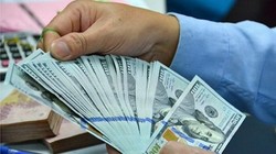 Thị trường ngoại tệ đang dần ổn định trở lại