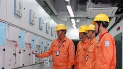 Yêu cầu EVN và TKV tính toán chênh lệch do biến động tỷ giá