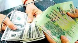 Tỷ giá: NHNN có thể sẽ nới biên độ giao dịch để thị trường tự quyết