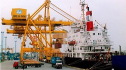 Công đoàn cảng Hải Phòng chi nghìn tỷ mua cổ phiếu?
